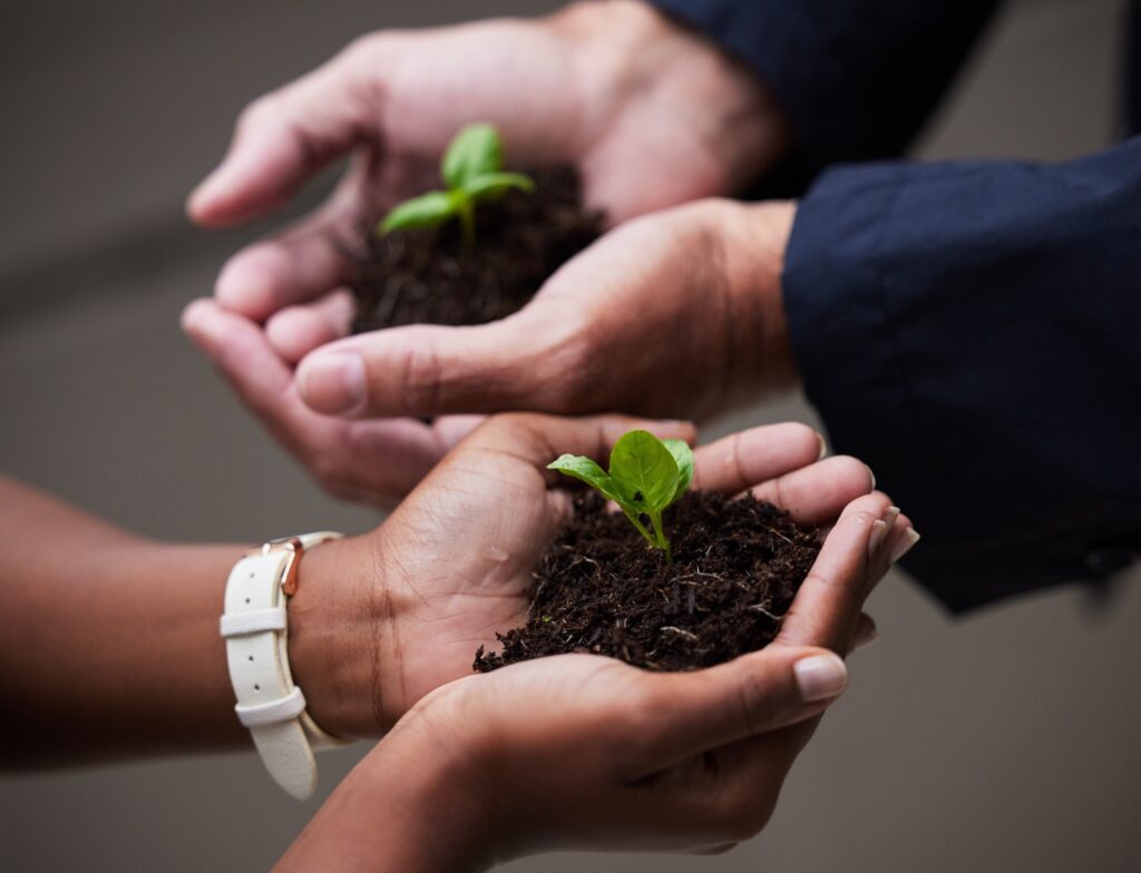 Never stop striving for growth